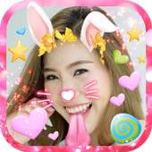 Cat face Camera Filters Photos