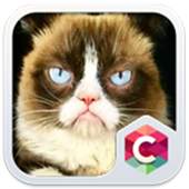 Grumpy Cat Theme C Launcher 4.8.7