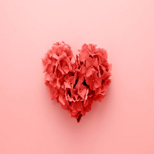 Lettres d''amour 2022. icon