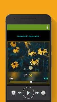 Music Player Without WiFi screenshot 2