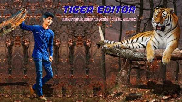 Tiger Photo Editor 3 تصوير الشاشة