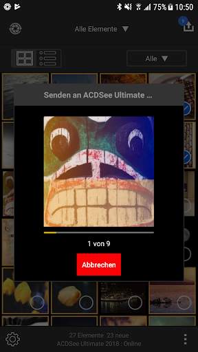 ACDSee Mobile Sync screenshot 8