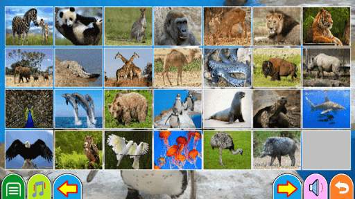 Animals Puzzle Games screenshot 3