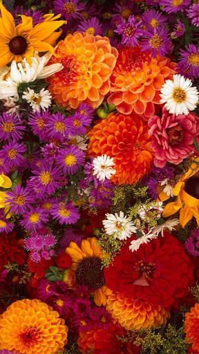 3D Flower Wallpaper screenshot 10