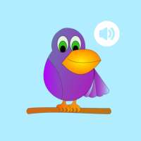 Bird Sound