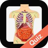 Human Biology Quiz 1.0