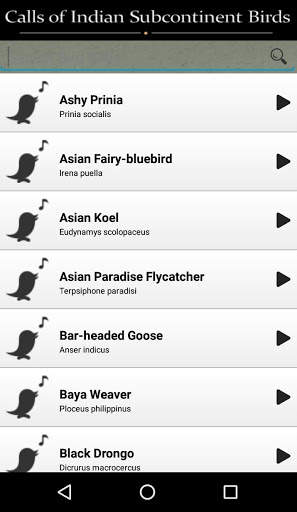Indian Bird Sounds screenshot 2