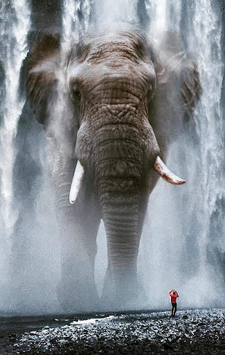 Elephant Wallpaper 5 تصوير الشاشة