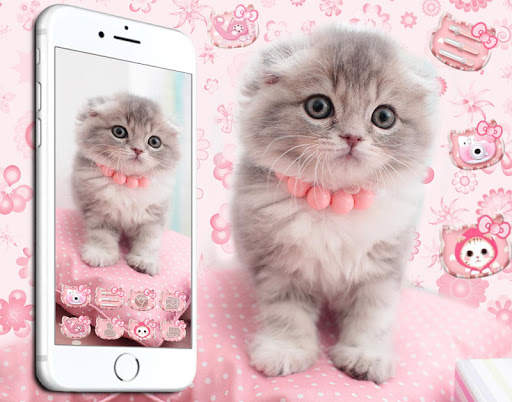 Cute Cat Live Launcher Theme 3 screenshot 5