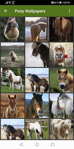 Little Pony Wallpapers screenshot 2