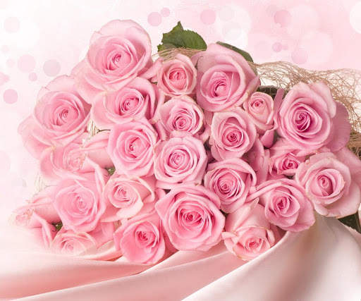 Pink Rose Wallpapers screenshot 14