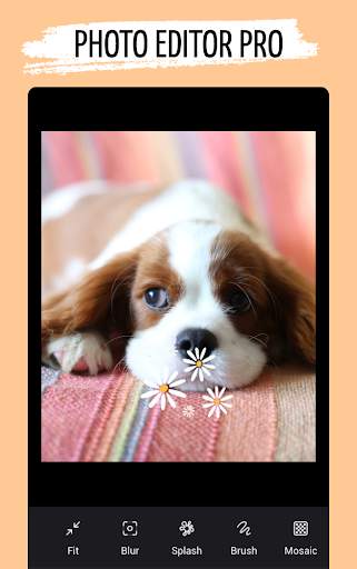 Photo Collage Maker - Photo Editor screenshot 4