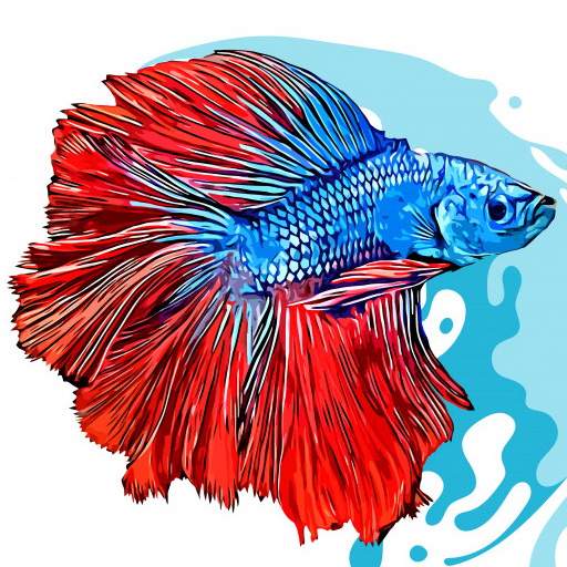 Ikan Hias Cupang 1.0