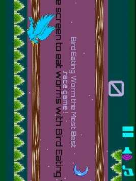 Bird Eating Worm screenshot 2