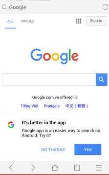 Web Browser screenshot 2