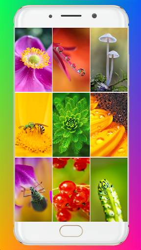 Macro Wallpaper HD screenshot 1
