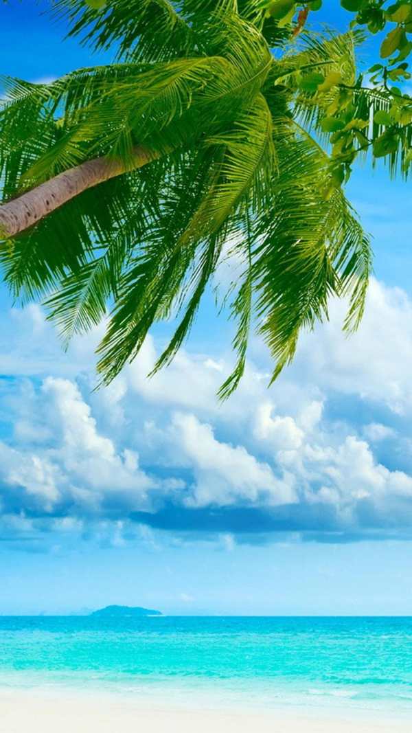 Tropical Live Wallpaper screenshot 5