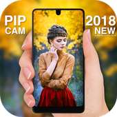 PIP Camera