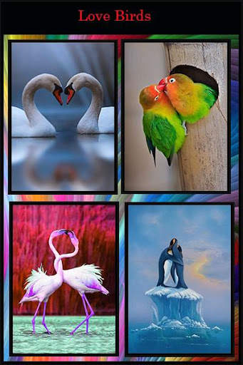 Romance Wallpaper screenshot 4