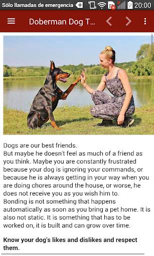 Doberman Dog Training screenshot 16