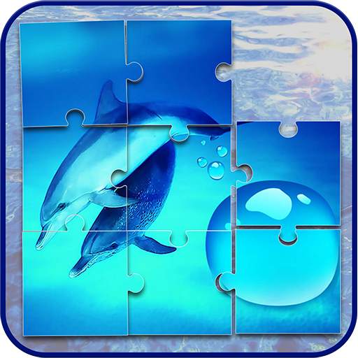 Dolphins Jigsaw Puzzle Game 4.3