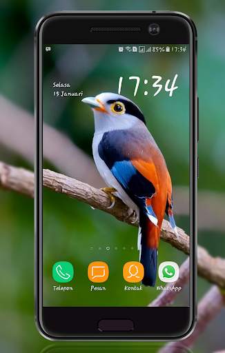 Bird Wallpaper screenshot 4