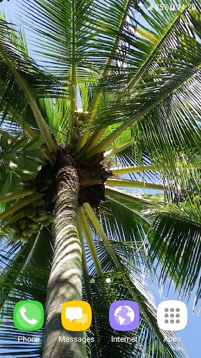 Tropical Live Wallpaper screenshot 2