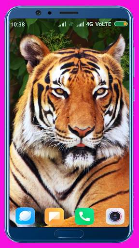 Tiger Wallpaper Best 4K screenshot 3