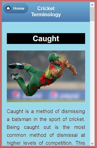 Cricket Language &Terminology screenshot 6