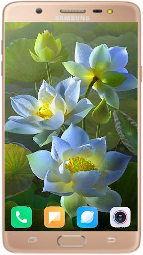Lotus Wallpaper Best HD screenshot 6