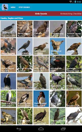 Birds of Prey Sounds Free screenshot 10
