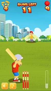 Mitro Street Cricket screenshot 4