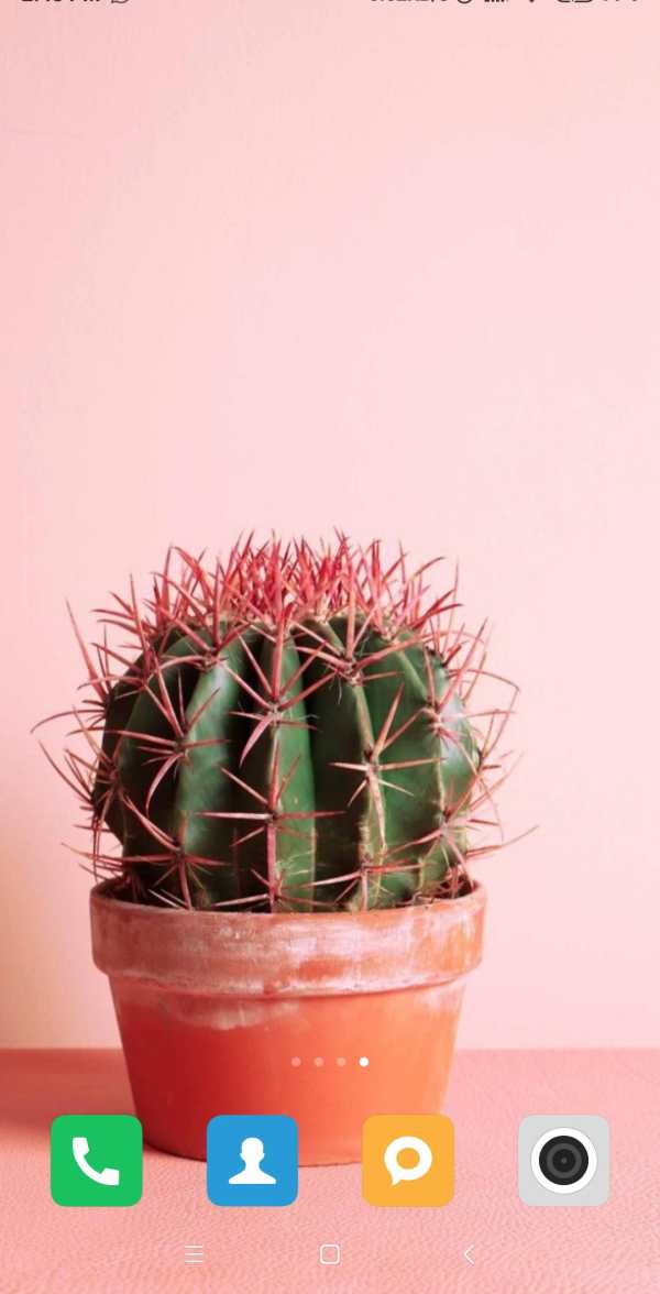 Cactus Wallpaper screenshot 1
