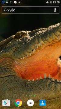 Reptile Live Wallpaper screenshot 2