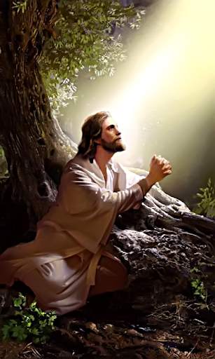Jesus Wallpapers screenshot 14