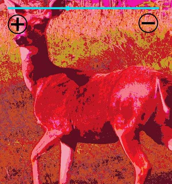 Thermal Vision Camera screenshot 2