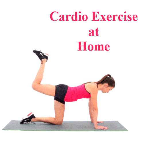 Hiit and Daily Cardio Fitness Workouts 0.0.2