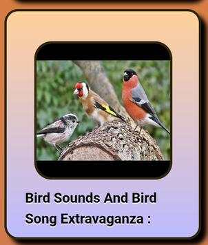 Song of Birds. screenshot 8