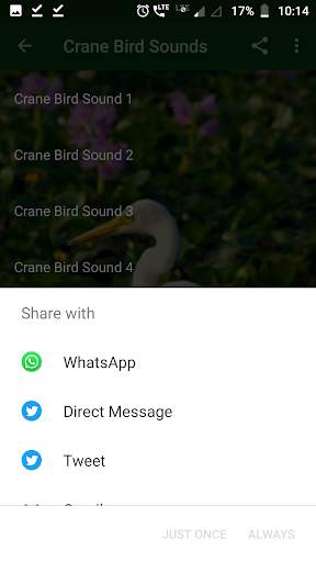 Crane Bird Sounds screenshot 5