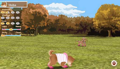 My Dog My Style screenshot 16