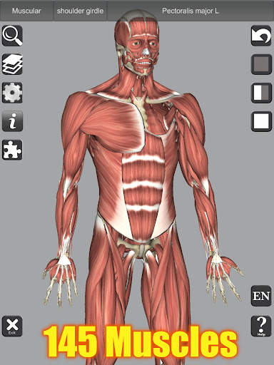 3D Bones and Organs (Anatomy) screenshot 10