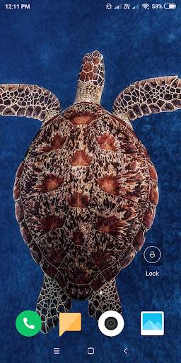 Turtle HD Wallpaper screenshot 14