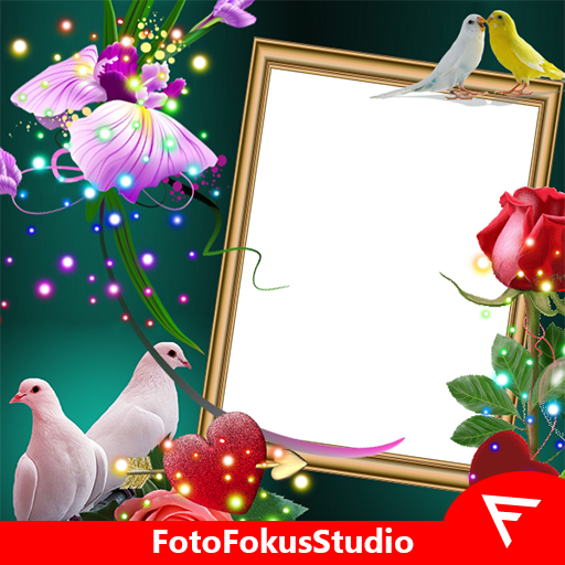 Love Birds Insta DP : Bird DP  أيقونة