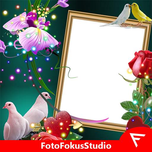 Love Birds Insta DP : Bird DP  6.1