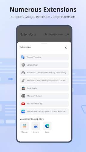 Mask Browser-support extension screenshot 2