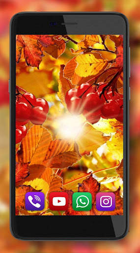 Autumn Sun Live Wallpaper screenshot 6