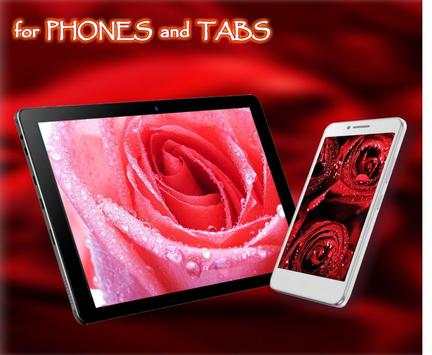 Roses Dew Drops live wallpaper screenshot 1