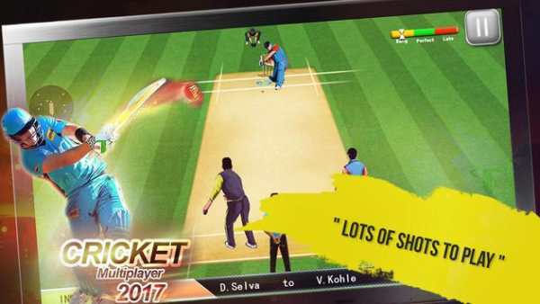 Cricket Multiplayer 2017 screenshot 3