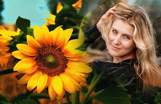Sunflower Photo Frames screenshot 3