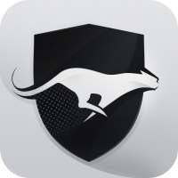 Run VPN logo